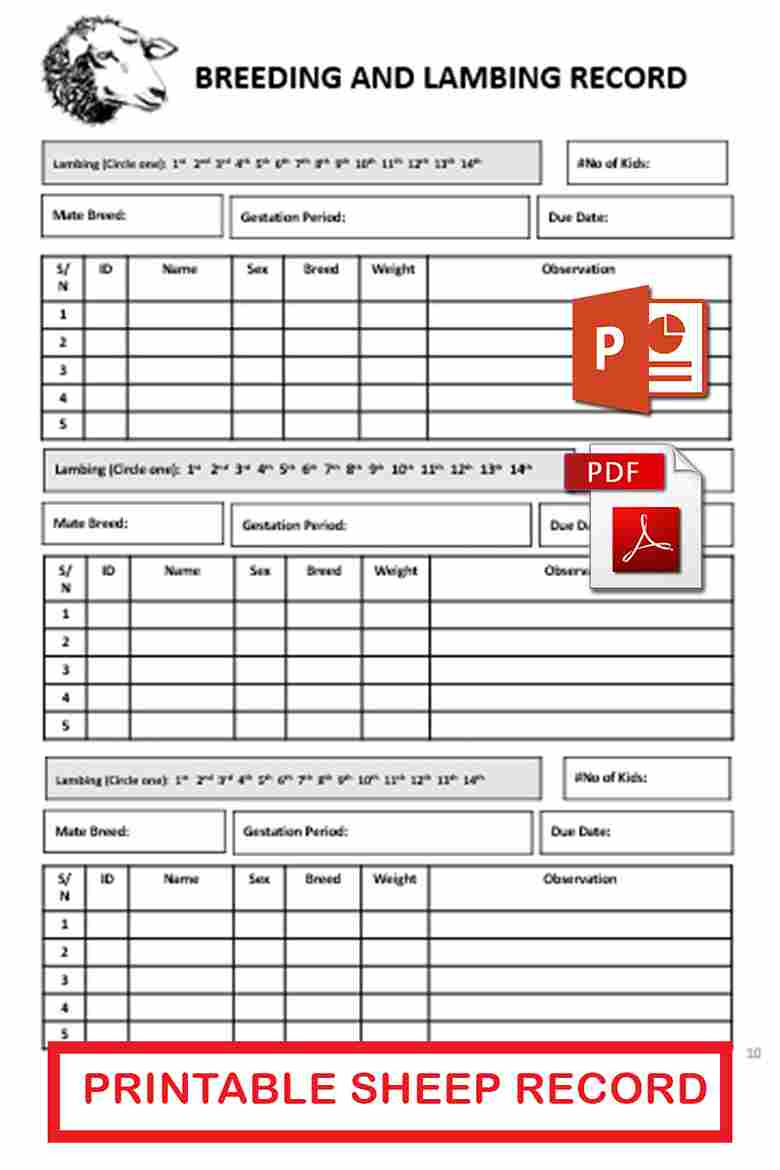 Sheep Record Keeping Template